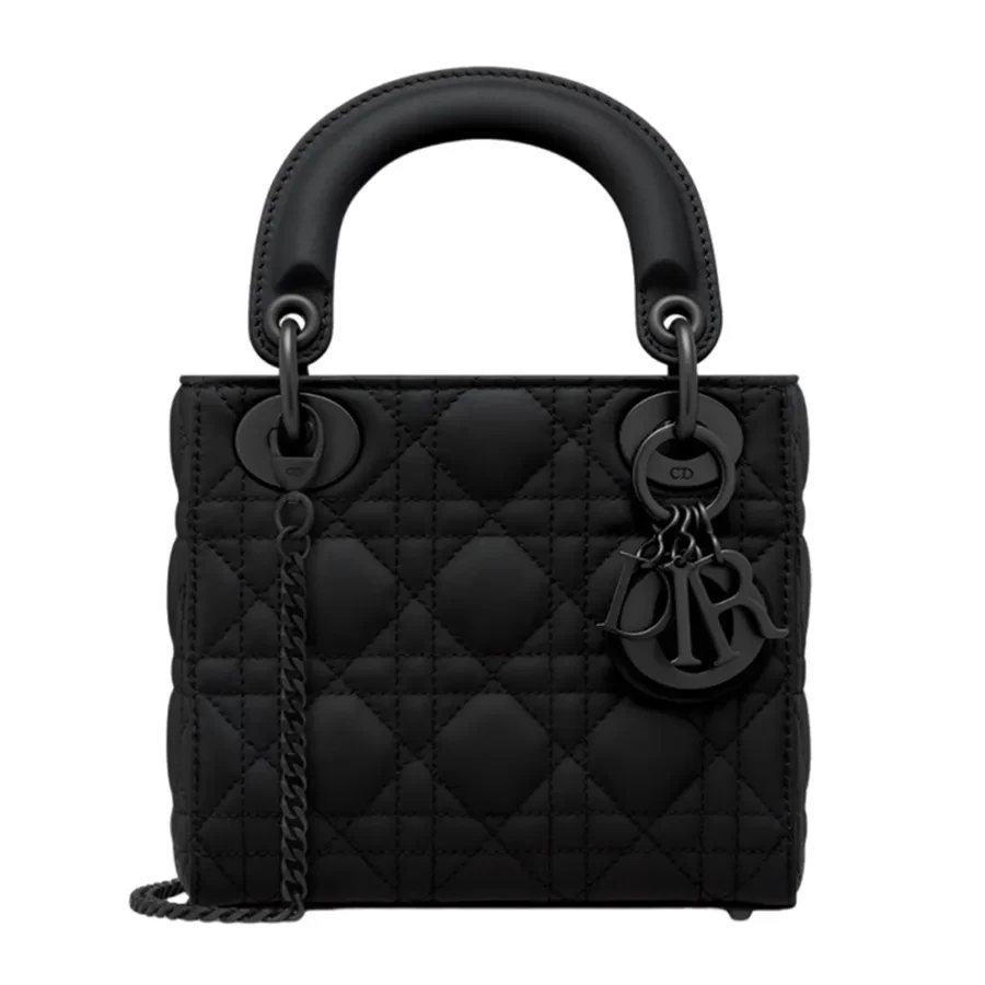 Túi Xách Tay Nữ Dior Mini Lady Dior Bag M0505SLOI_M989